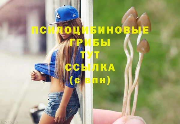 PSILOCYBIN Верхнеуральск