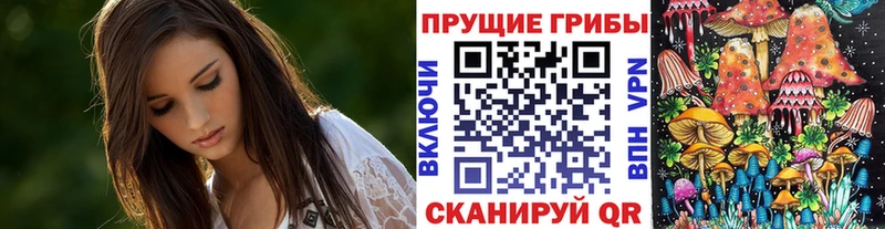Купить  Остров  Псилоцибиновые грибы GOLDEN TEACHER 