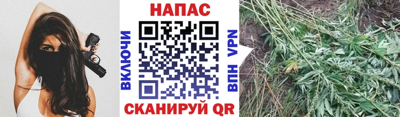 Конопля THC 21%  Купить где  Остров 